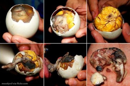 Huevo Balut!....Otra que Marley!